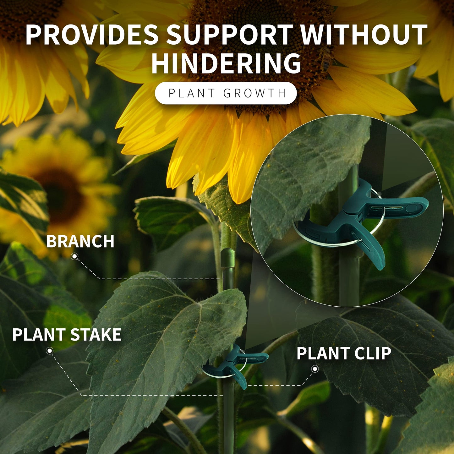 20/50 Piece Gardening Plant & Flower Lever Loop Gripper Clips